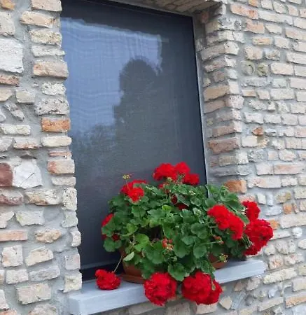 Casa Fabbro Apartment Palazzolo dello Stella