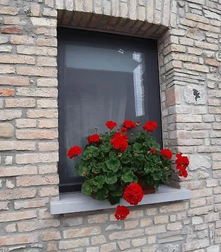 Casa Fabbro Apartment *